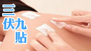 三伏九貼